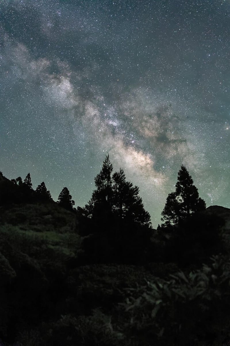 Dreamy Night Sky